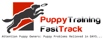 Puppy Training Fast Track
